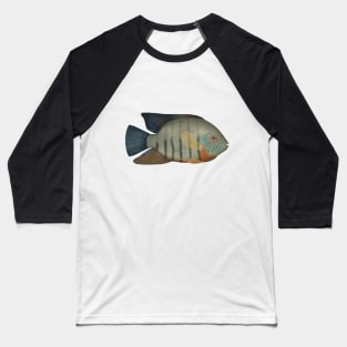 Red Tiger Severum Baseball T-Shirt